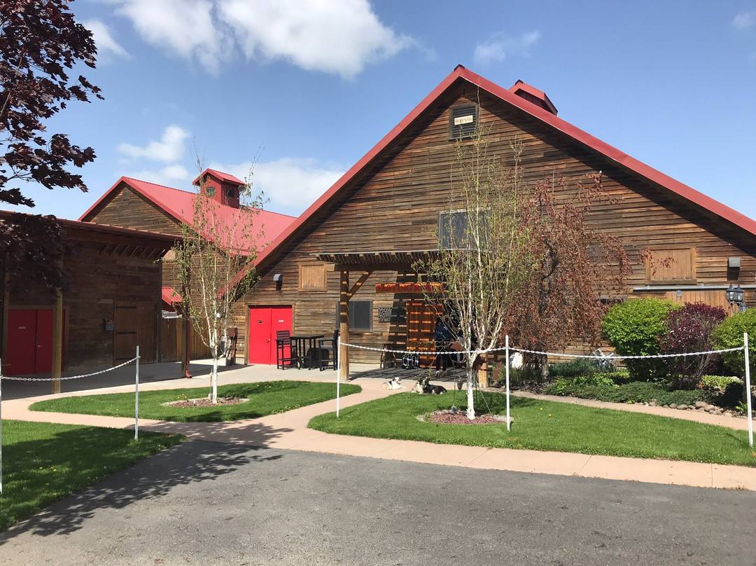 Balboa Winery景点图片