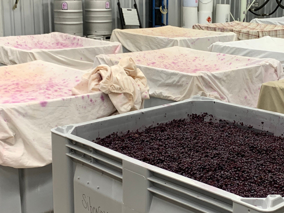 Hawk's Shadow Winery-Dripping Springs必去景点