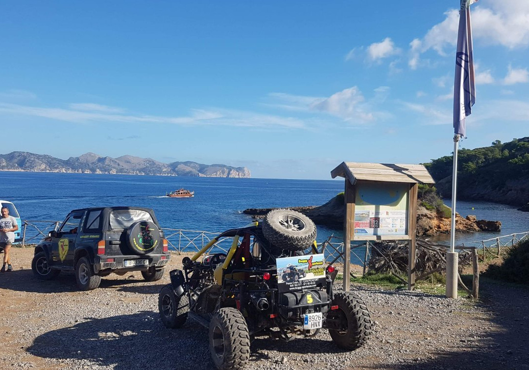 Buggy Xperience-Ca'n Picafort必去景点