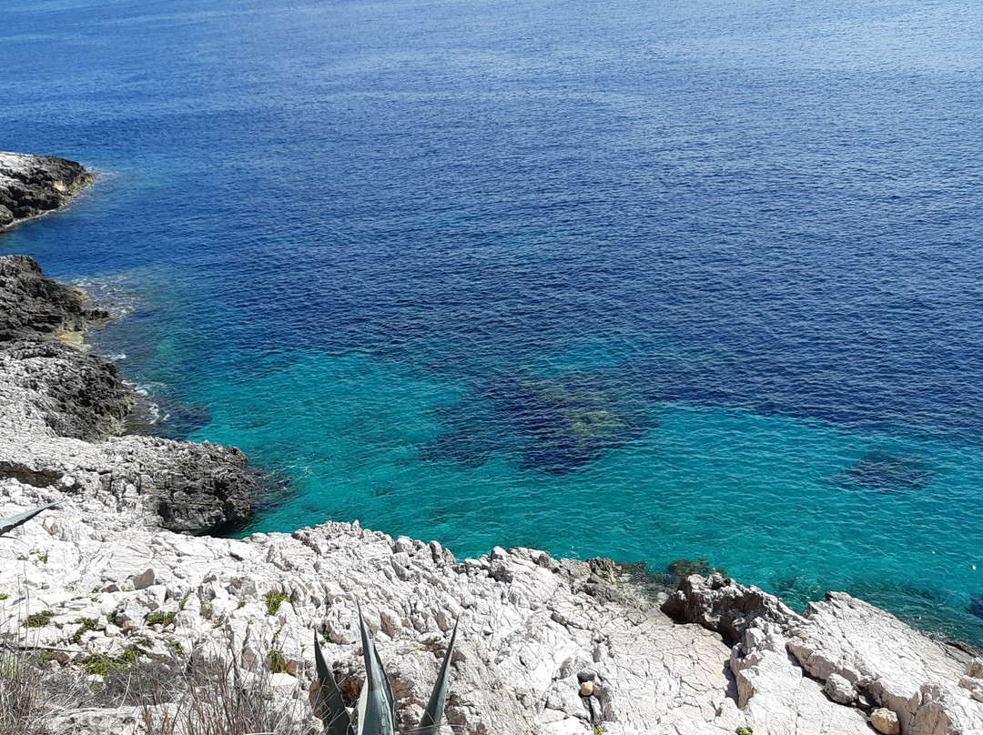 Cala Faraglione景点图片