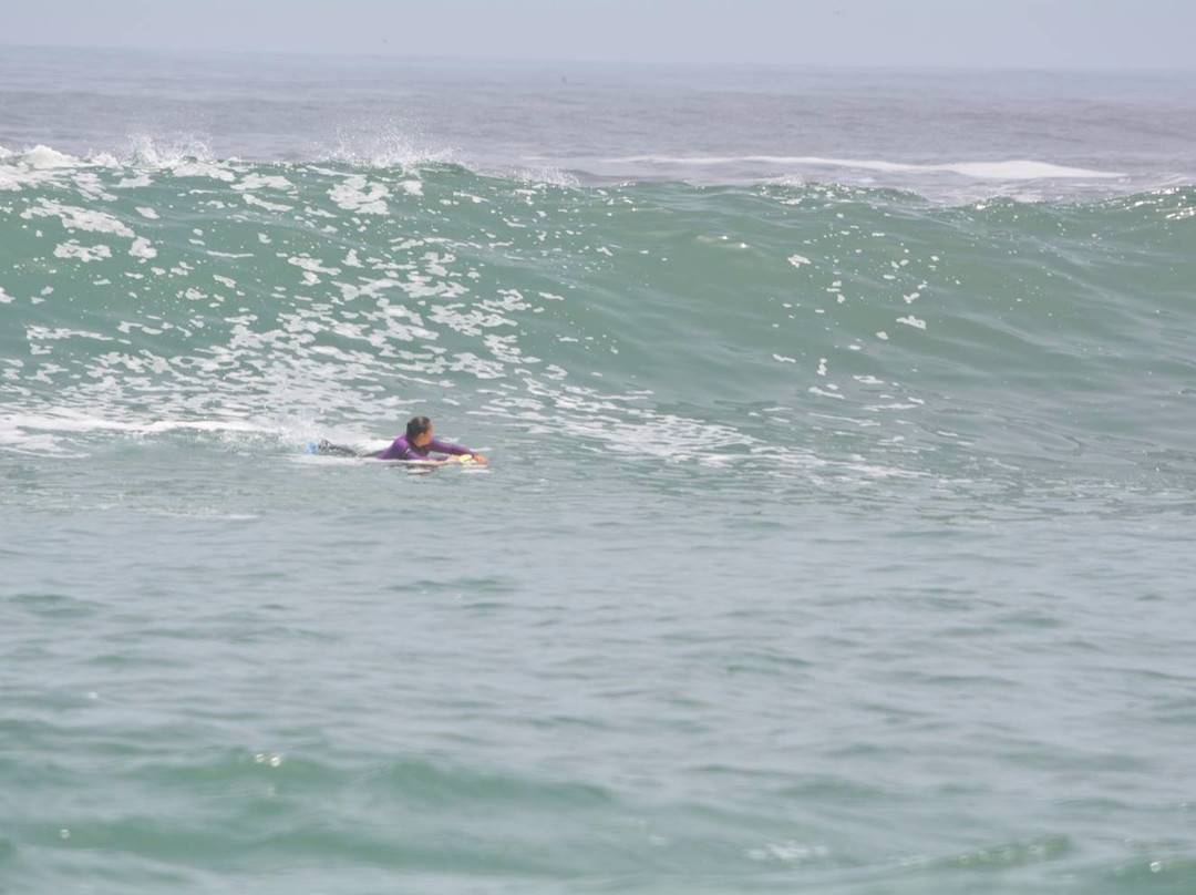 Gino Bello Surf Trips