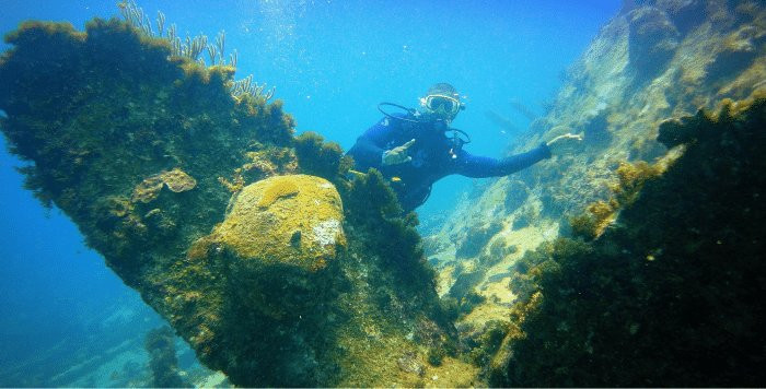 SeaPro Divers-普拉塔港必去景点