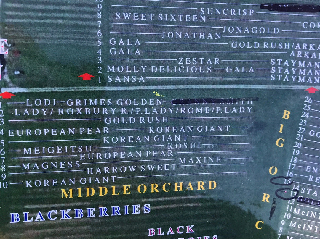 Reed Valley Orchard-Paris必去景点