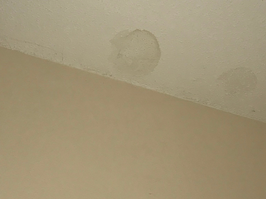 Staybridge Suites West Des Moines By IHG主图