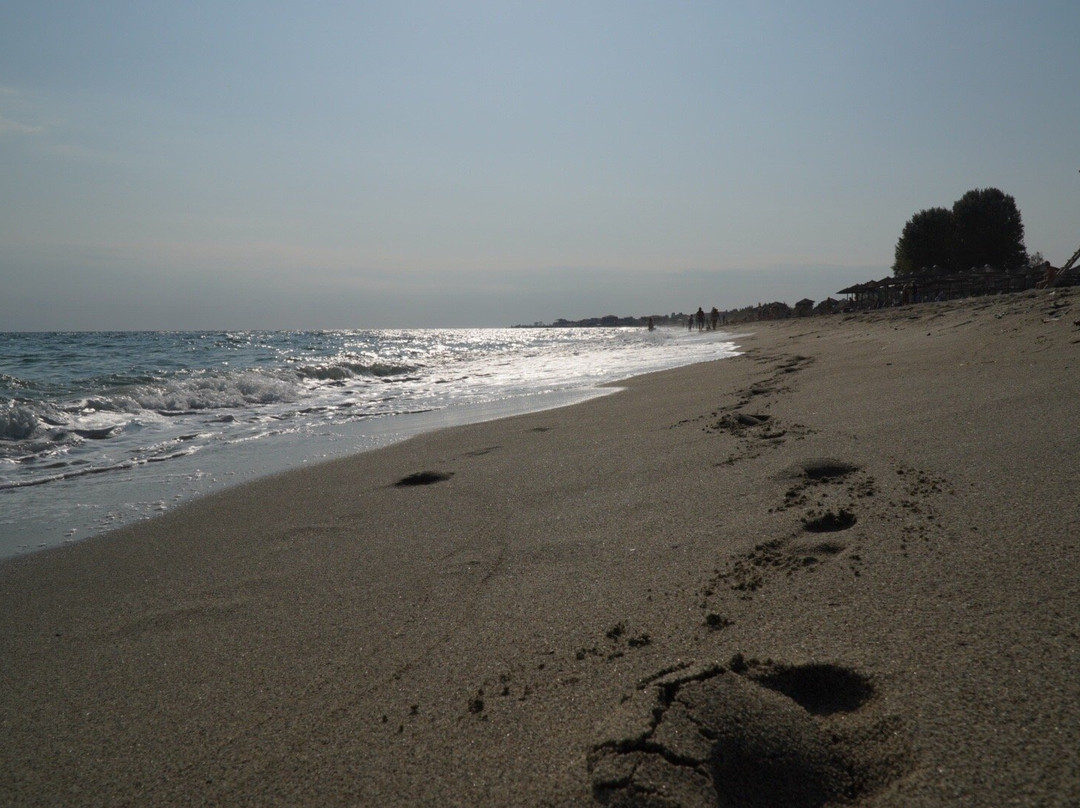 Olympic Star Beach Hotel主图