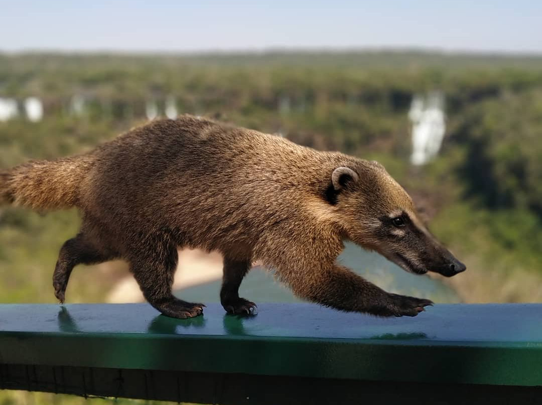 伊瓜苏国家公园-伊瓜苏必去景点