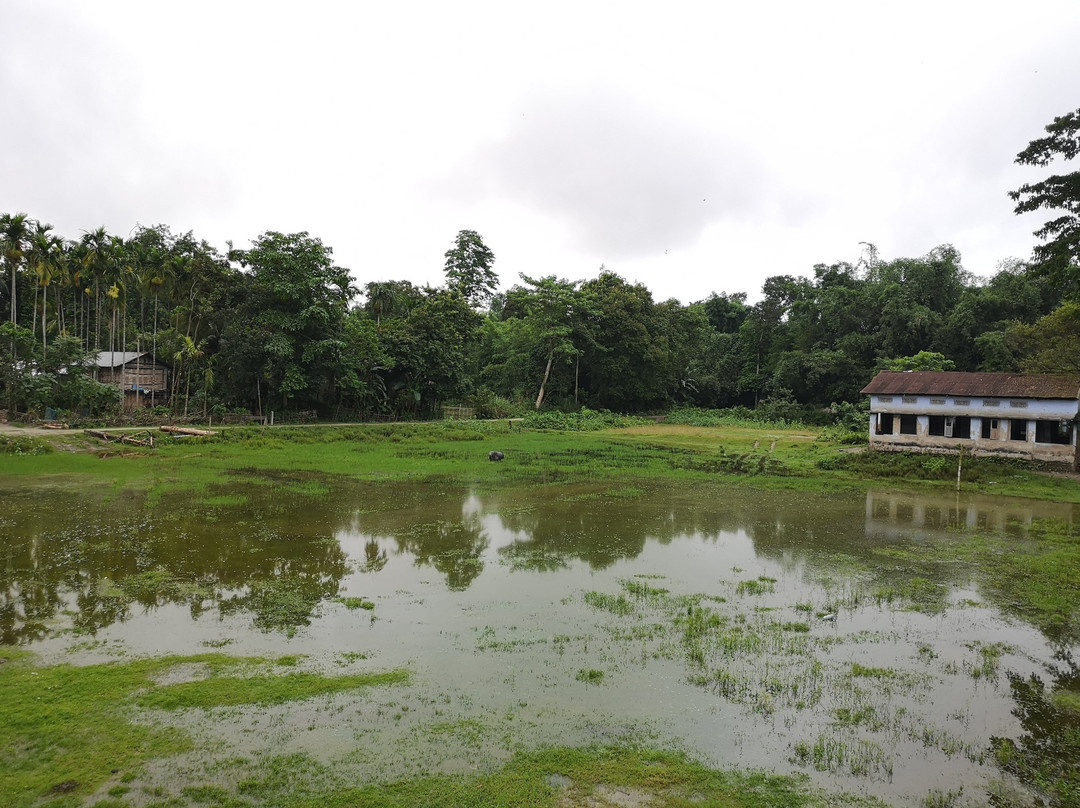 Enchanting Majuli Resort主图