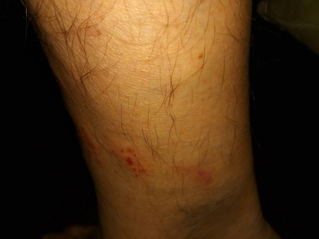 Days Inn by Wyndham Downtown Aiken