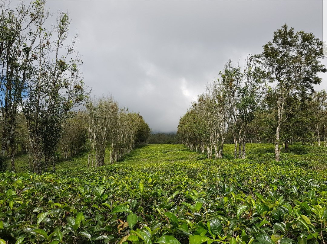 Hatale Mini World's End Bungalow主图