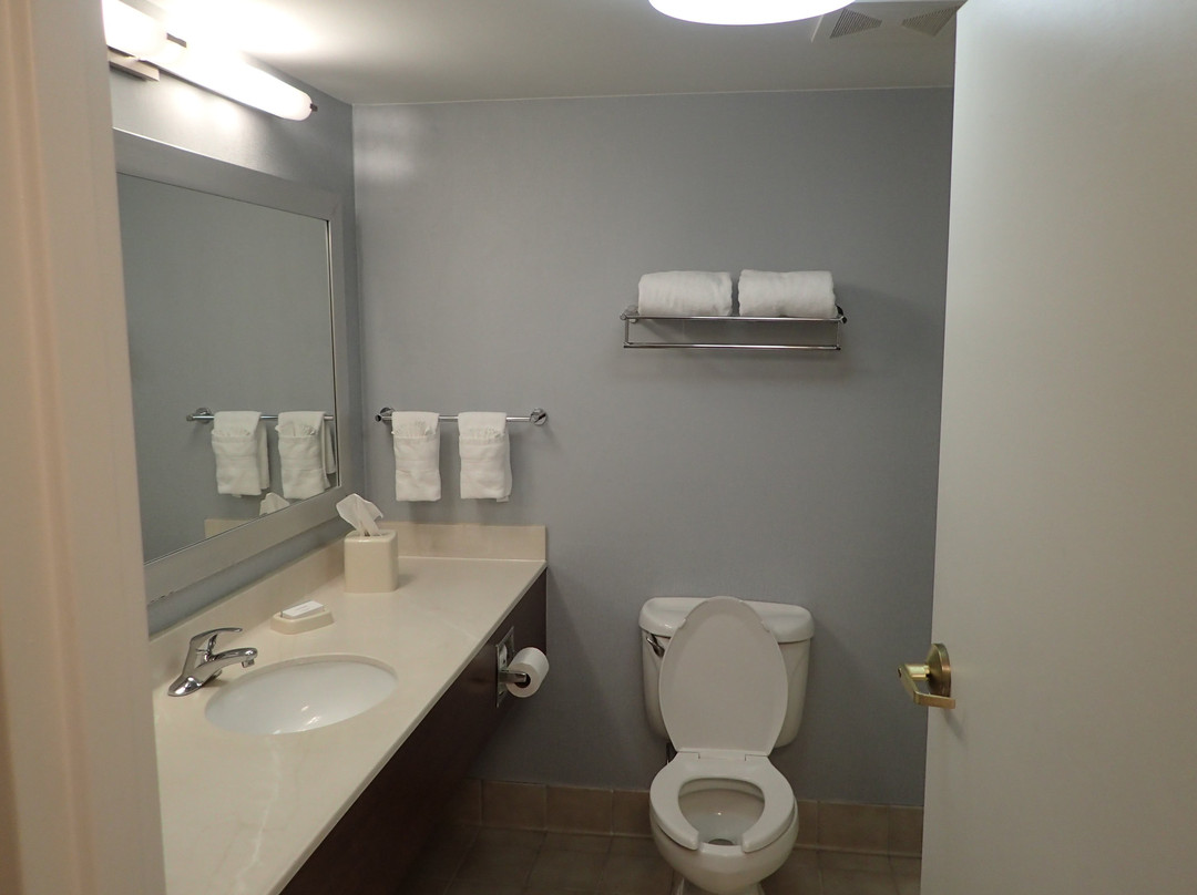 Hampton Inn Hartford/airport主图