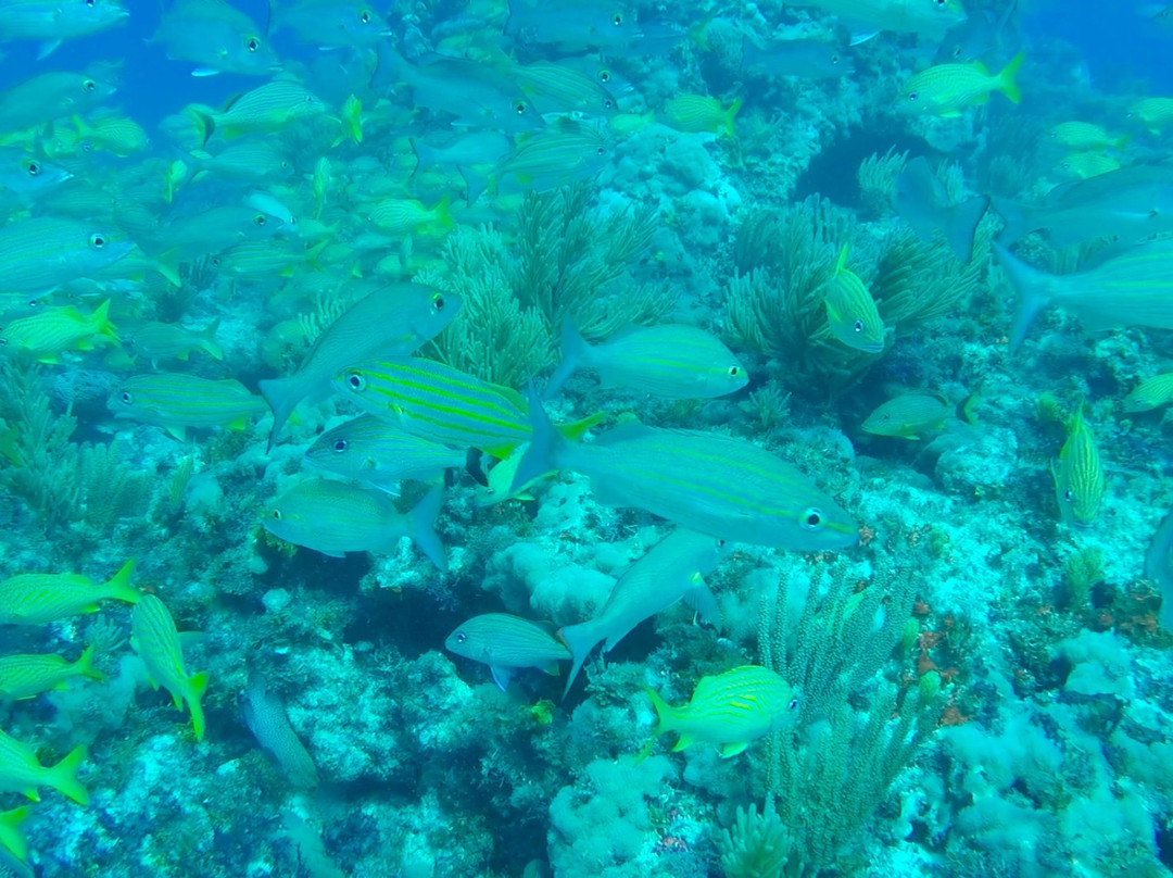 Mayan Underworld Diving-坎昆必去景点