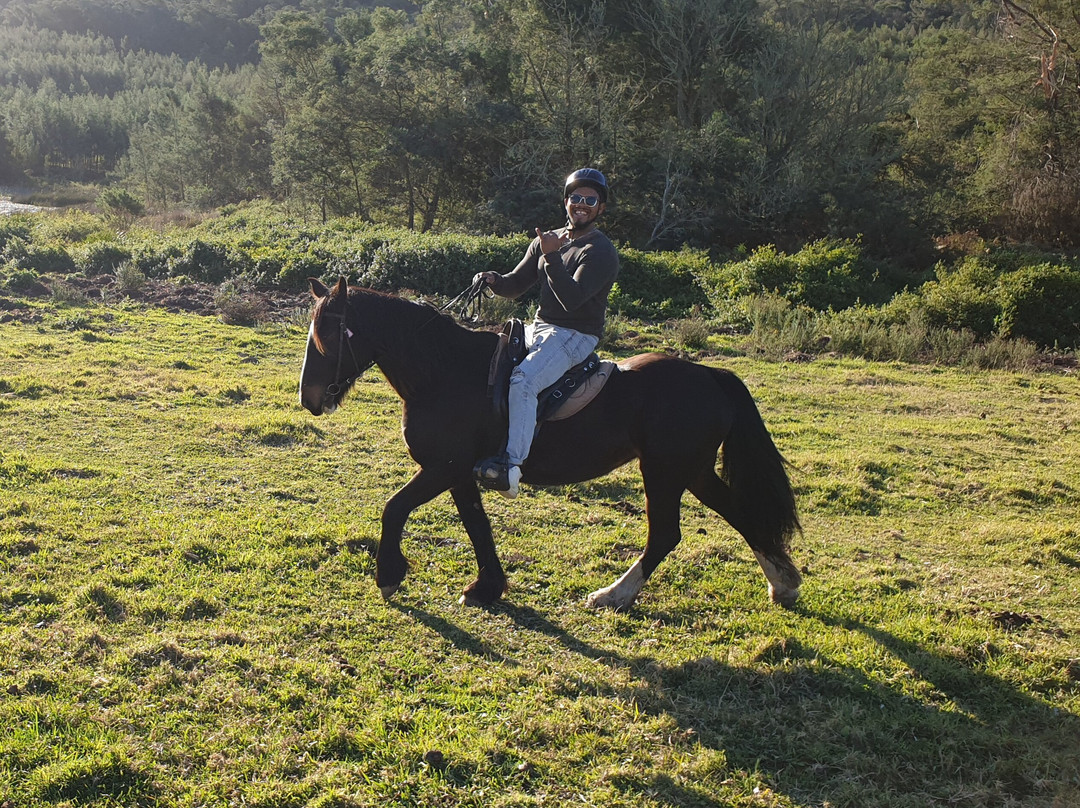 Kurland Park Horse Trails-普利登堡湾必去景点