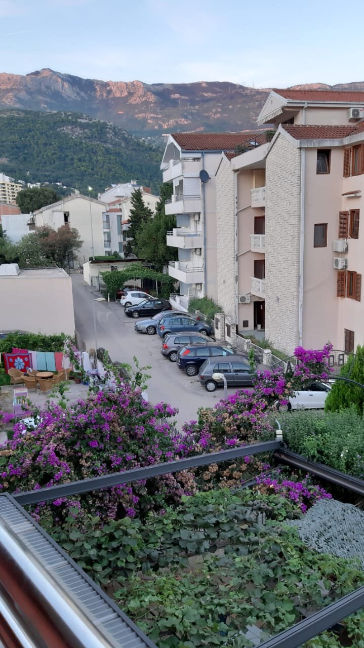 Hotel Villa Bojana-酒店景观