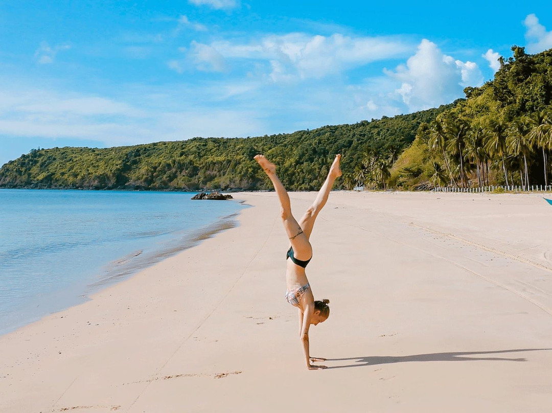 Pack n' Roll Tours-波尔图必去景点