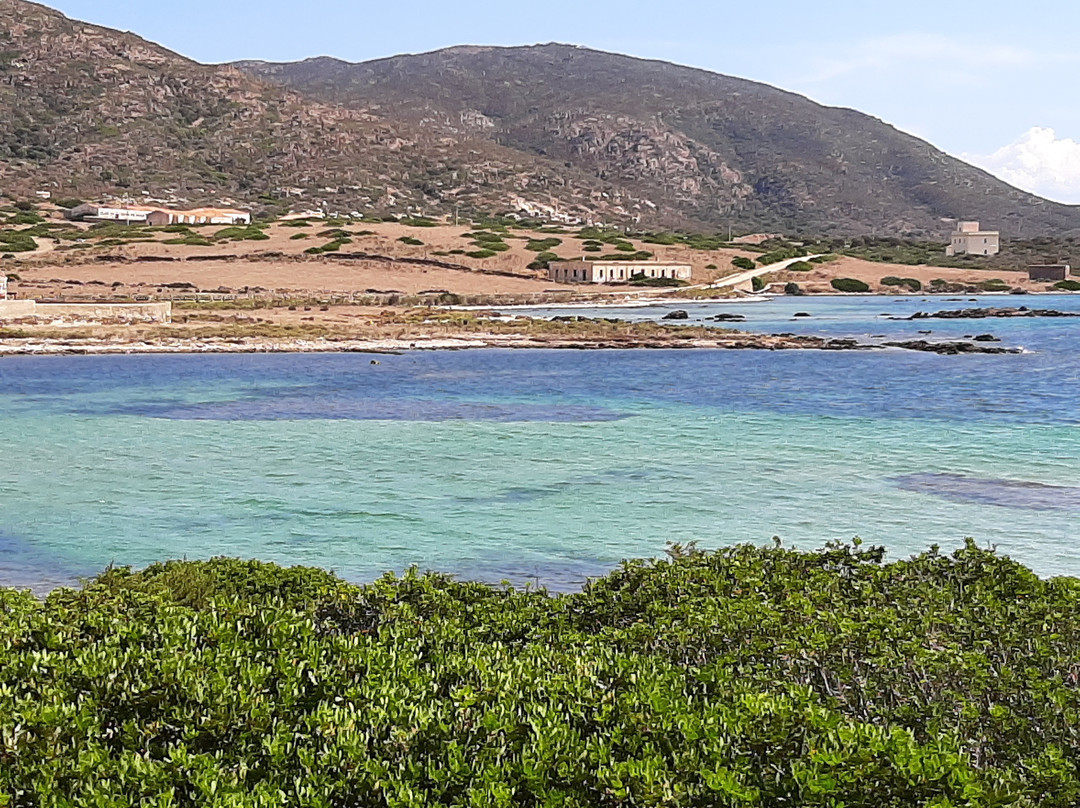 Mare & Natura - Tour Parco dell'Asinara-斯廷蒂诺必去景点
