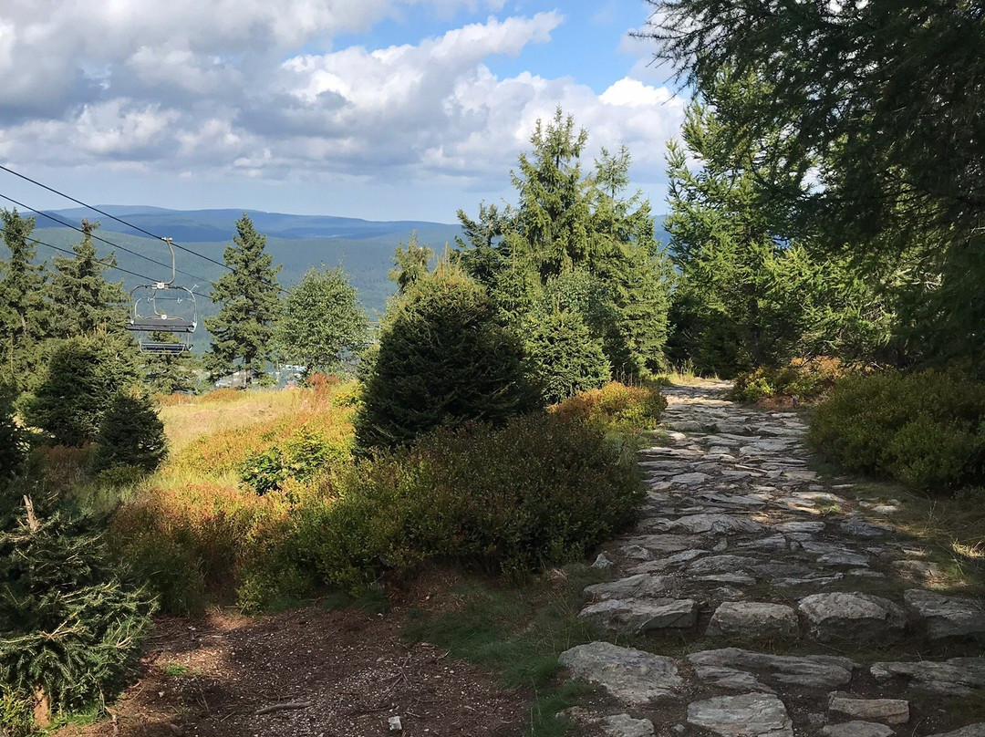 Skiareál Harrachov - Krkonoše-哈拉霍夫必去景点