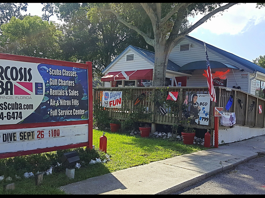 Narcosis Scuba Center-塔彭斯普林斯必去景点