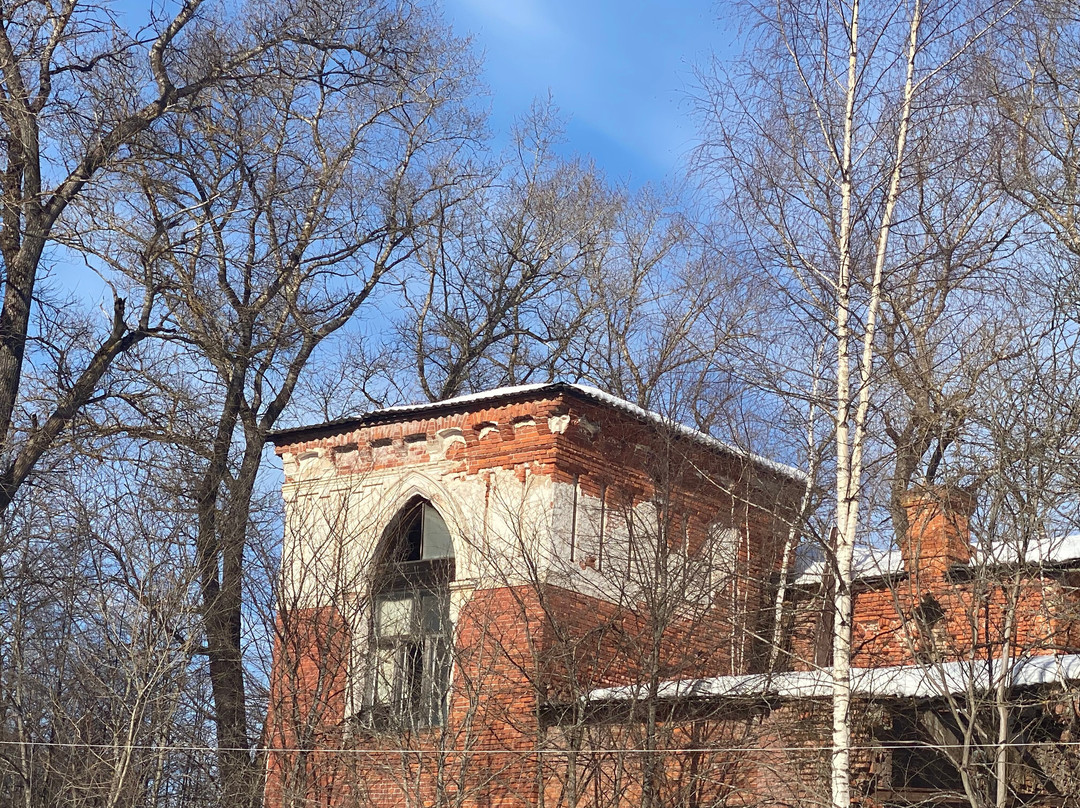 Manor  of V.P. Smirnova-Shelkovka