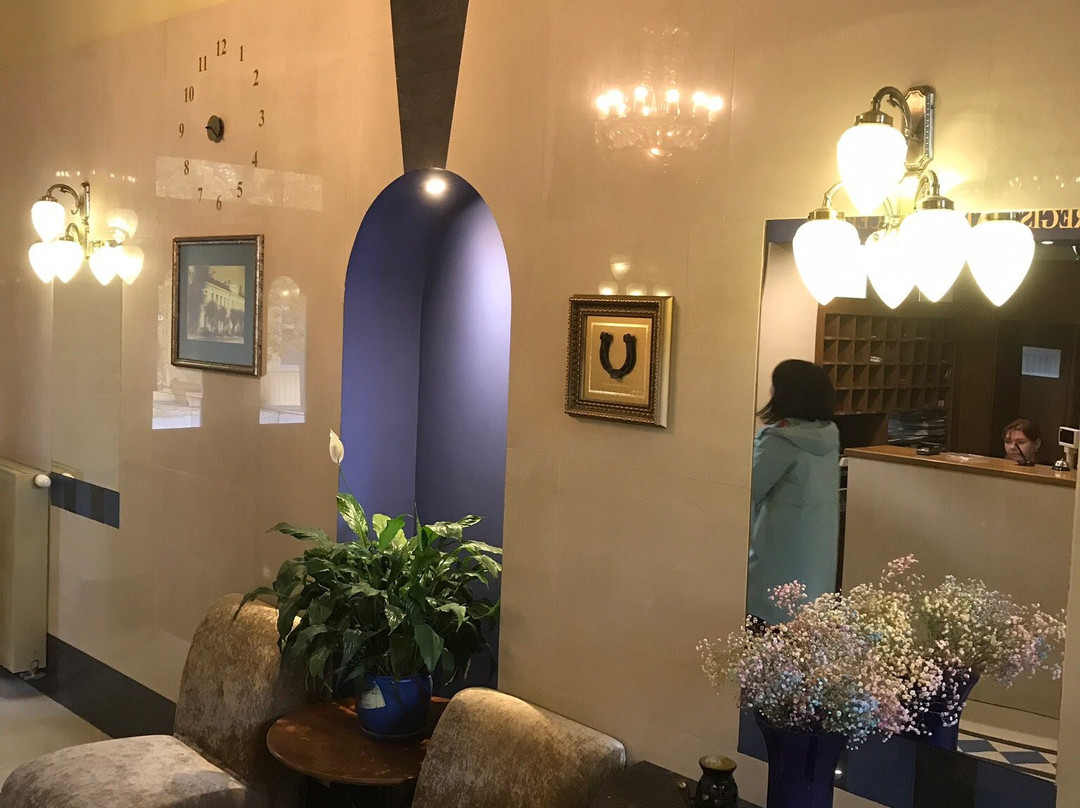 Best Baltic Hotel Druskininkai Central主图