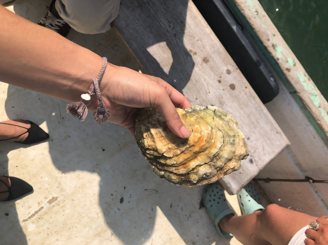 Nonesuch Oysters-斯卡伯勒必去景点