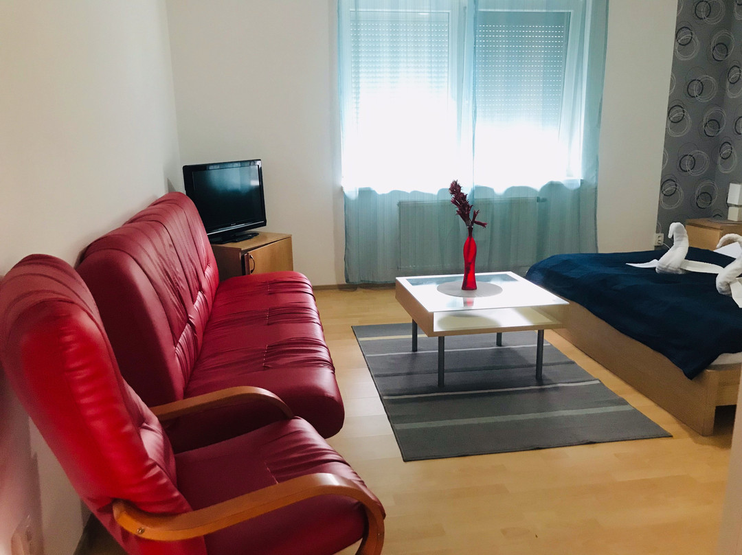 Rovinka酒店住宿-Hotel Orlan