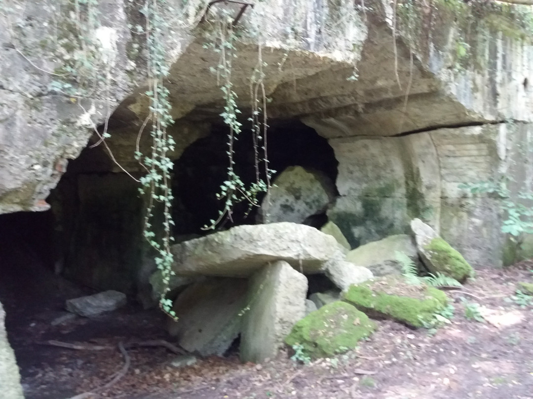 Fort GW VII Prałkowce景点图片