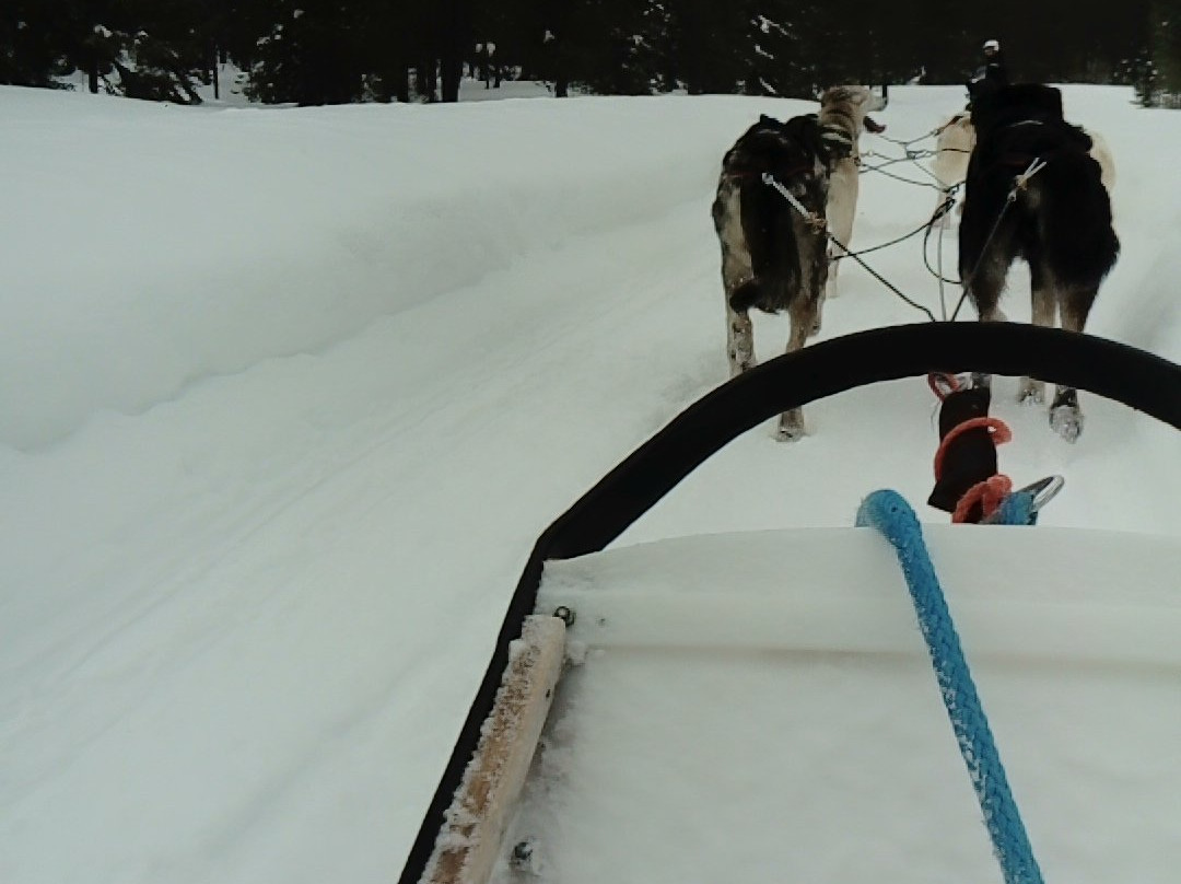 Luosto Adventures-Luosto必去景点