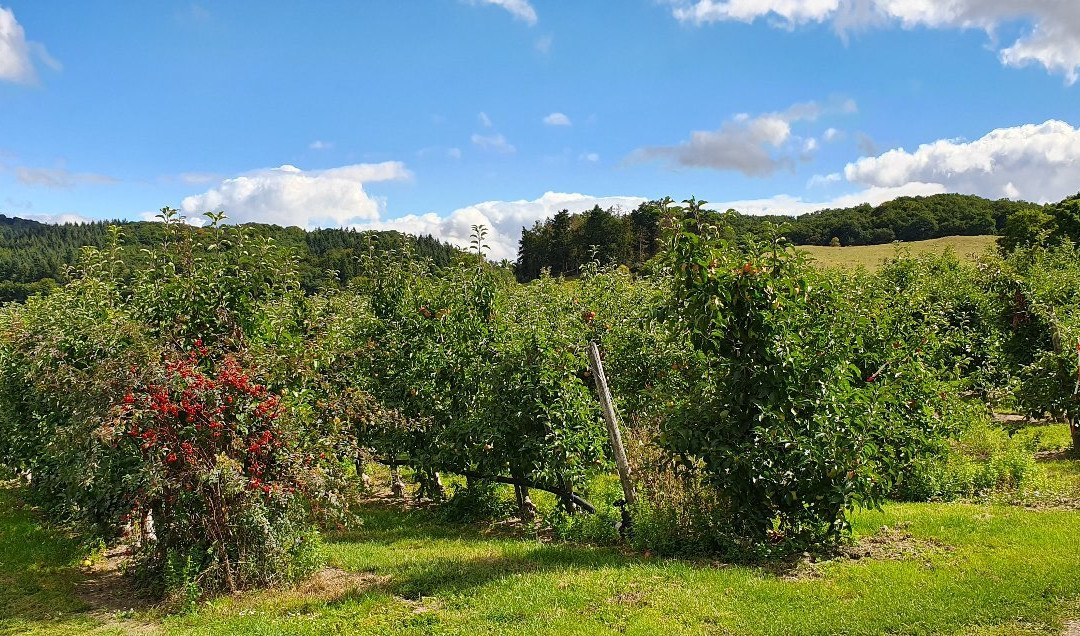 Gaestehaus Klaus主图