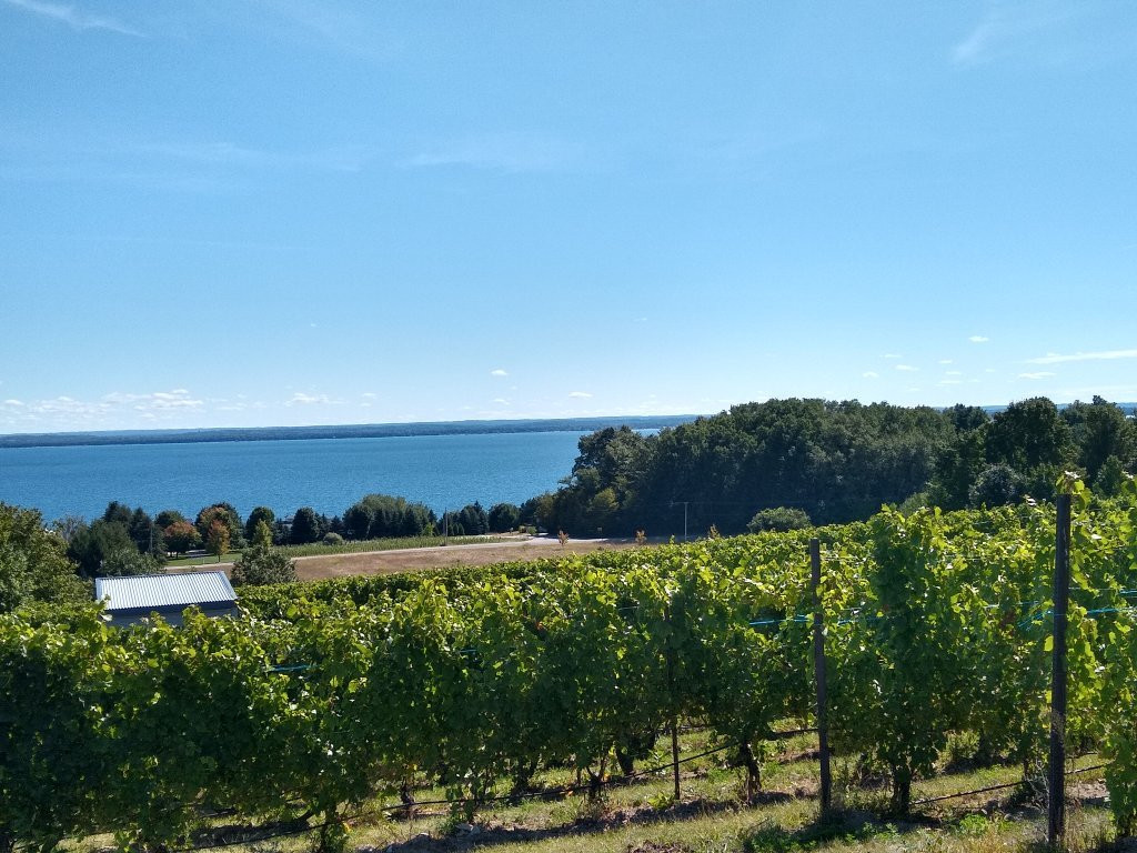 2 Lads Winery-特拉弗斯城必去景点