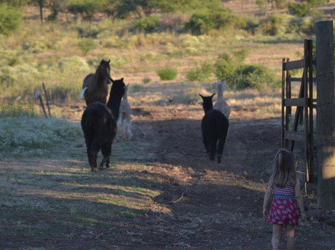 Valle del Arriero-Chimbarongo必去景点