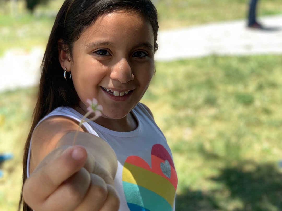 Monterreal Resort Golf Club and Ski主图