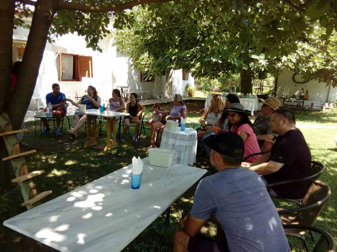 Visit Katakolon Private Tours-Katakolo必去景点