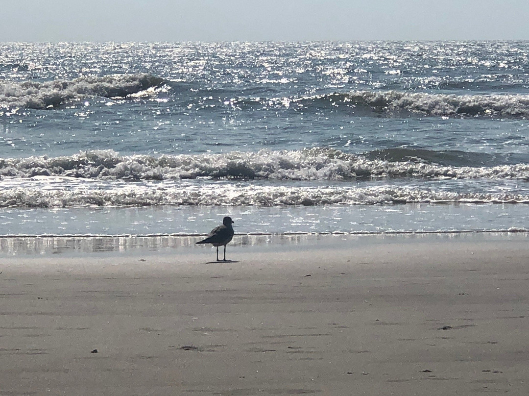 Litchfield Beach-Litchfield Beach必去景点