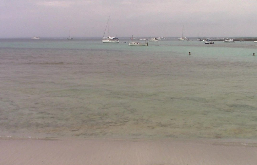 Platja Es Peregons-Campos必去景点
