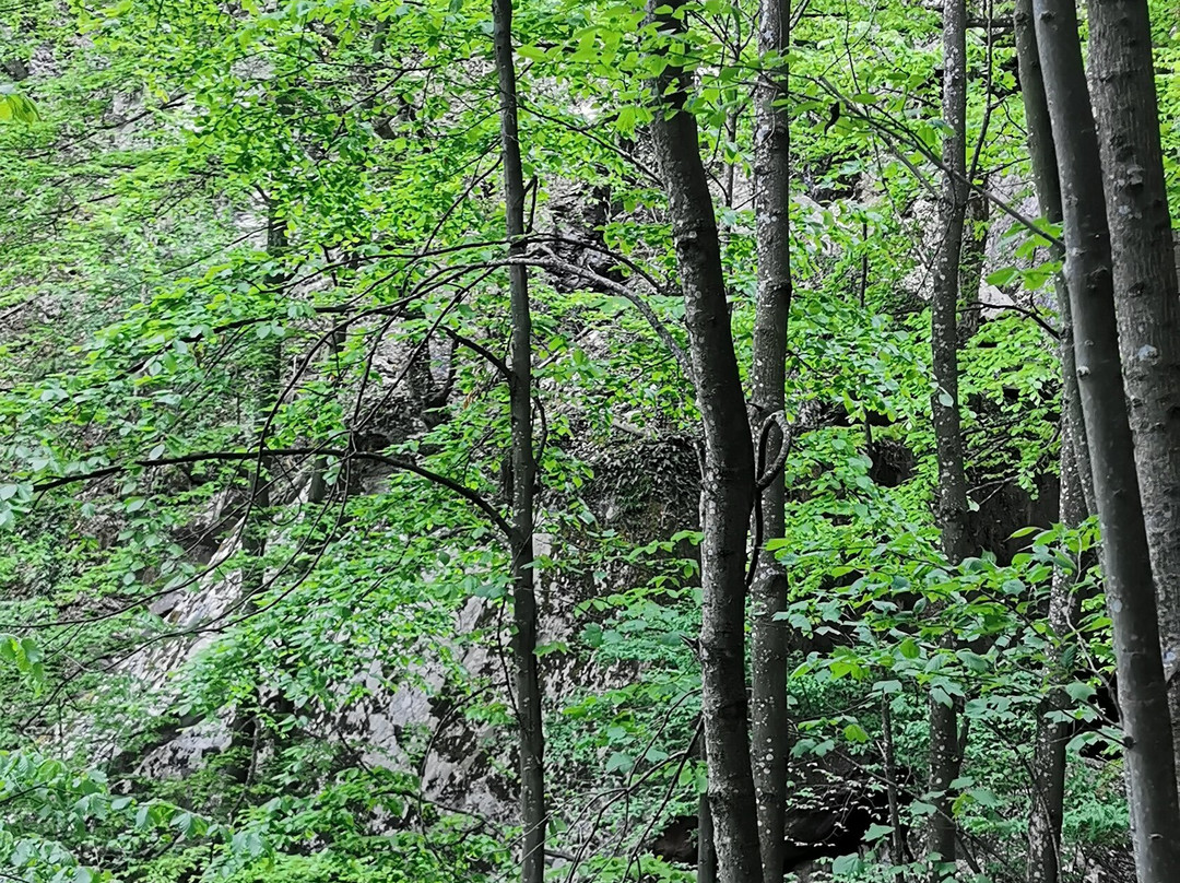 Skakalo-Divcibare必去景点