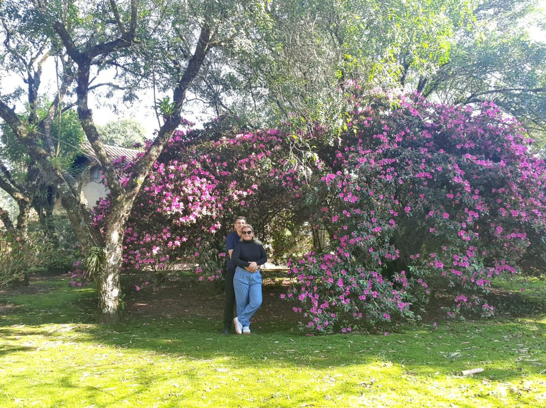 Hotel Fioreze Quero Quero主图