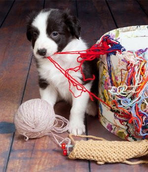 Knit & Pearls-Avon必去景点