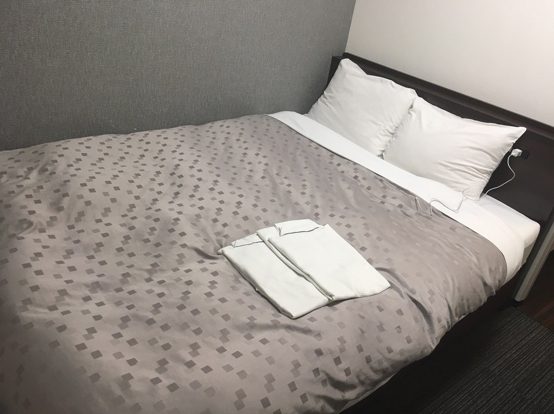 Hotel Aston Plaza Kansai Airport主图