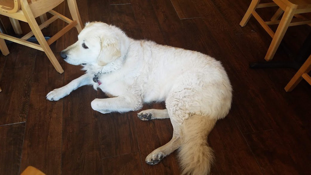 Sunlight Lodge Bed & Breakfast主图