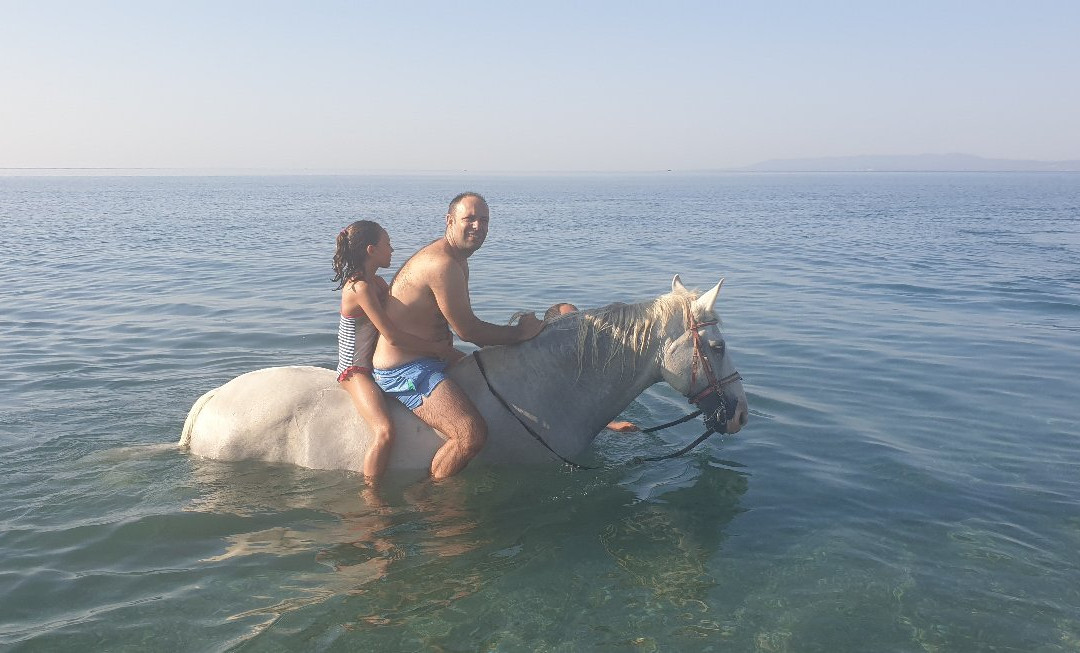 Ippikos Omilos Kalamatas-卡拉马塔必去景点