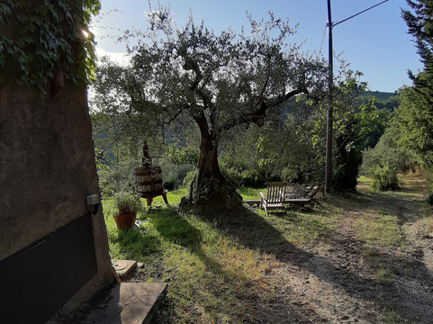 法特里亚潘格丽酒店主图