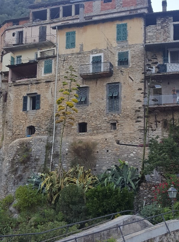 Info Parco Alpi Liguri-Rocchetta Nervina必去景点