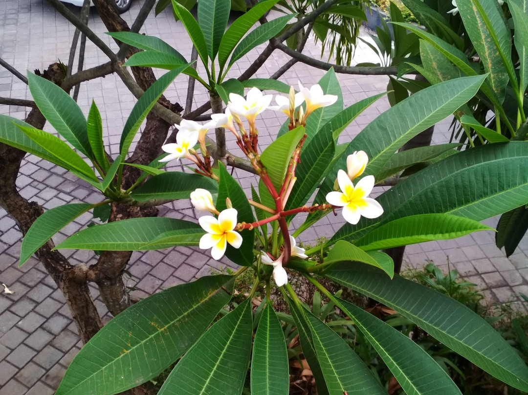 镭射水疗中心酒店主图