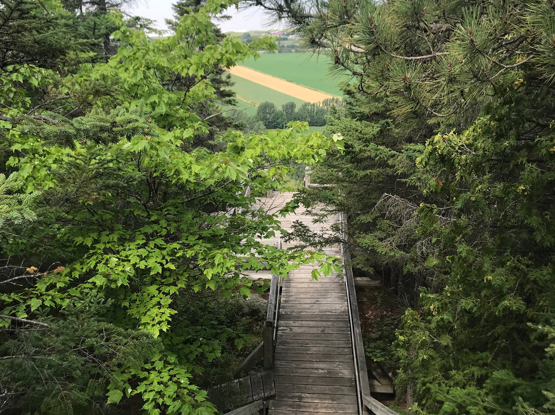 Auberge Comme Au Premier Jour主图