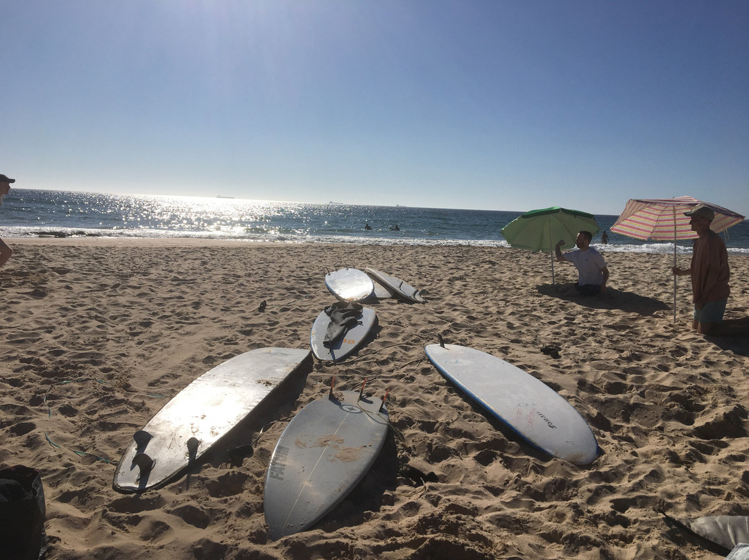 Alentejo Pig Dog Surf Camp