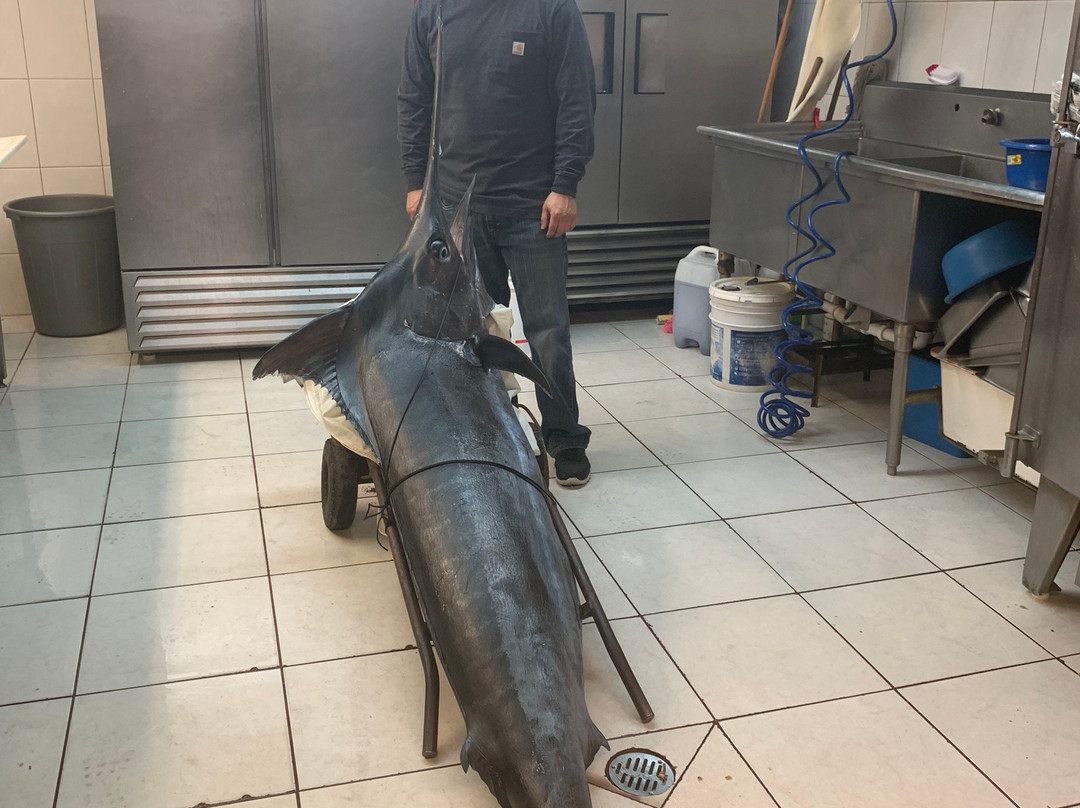 Dream Maker Sportfishing Charters-卡波圣卢卡斯必去景点