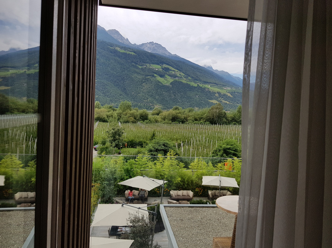 文斯彻尔霍夫酒店主图