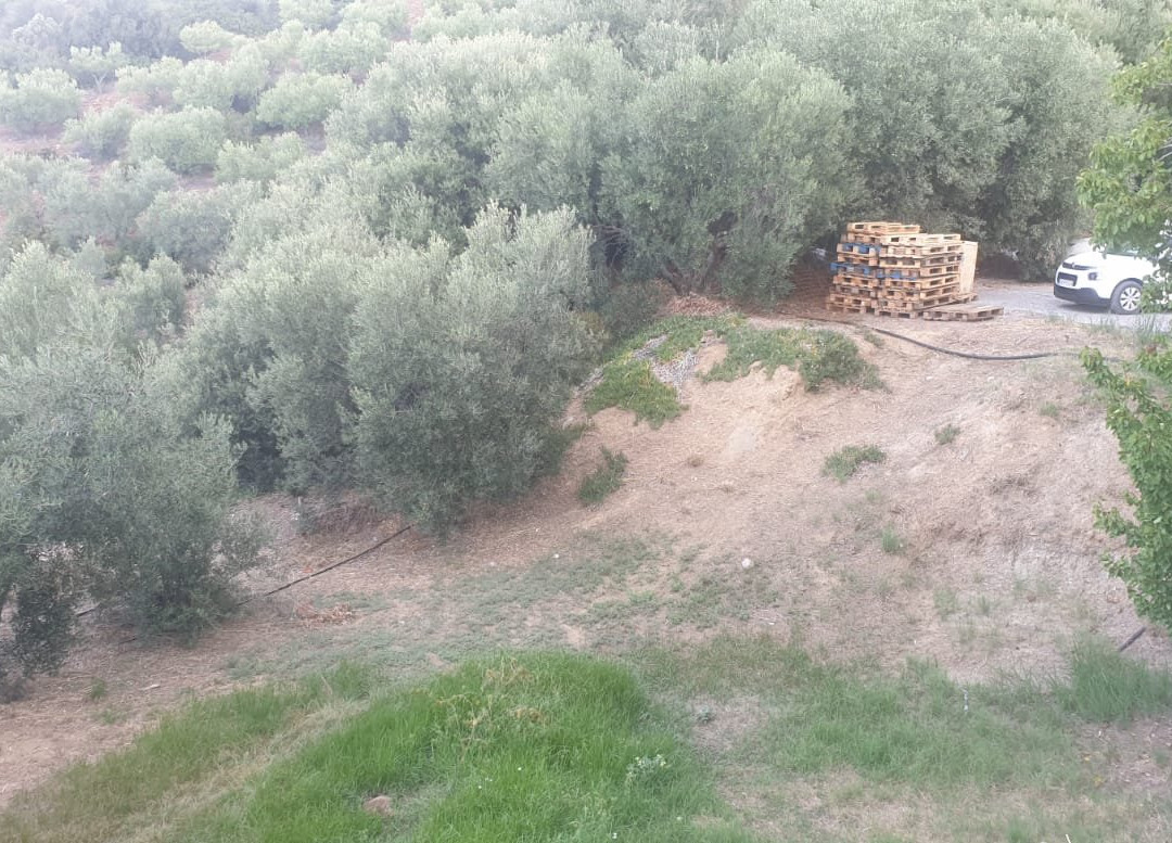 Bianco Olympico Beach Resort主图