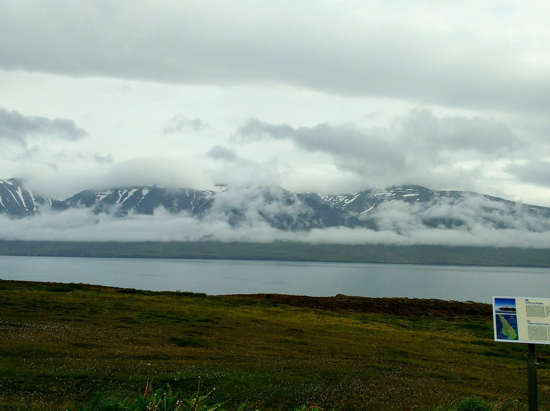 Hrisey Ferry-Hrisey Island必去景点
