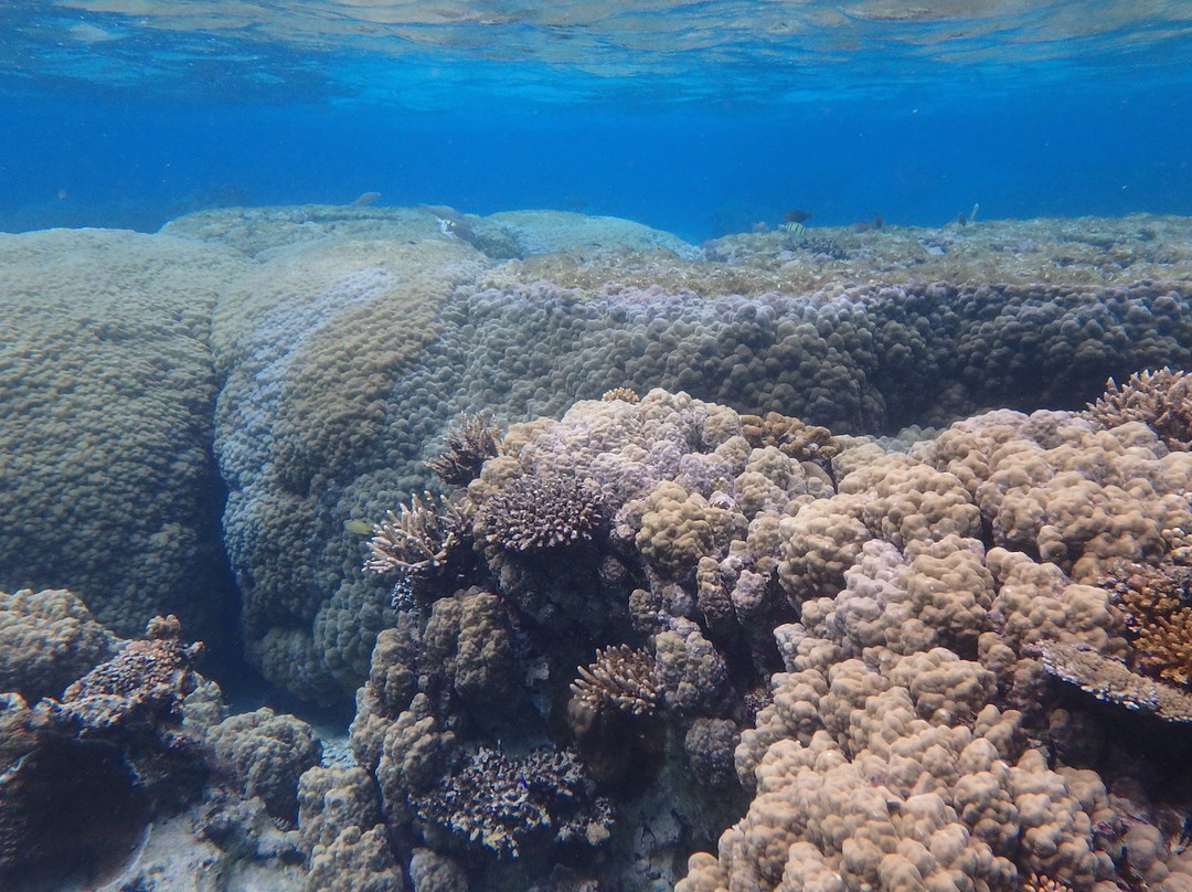 Poe Beach-Bourail必去景点